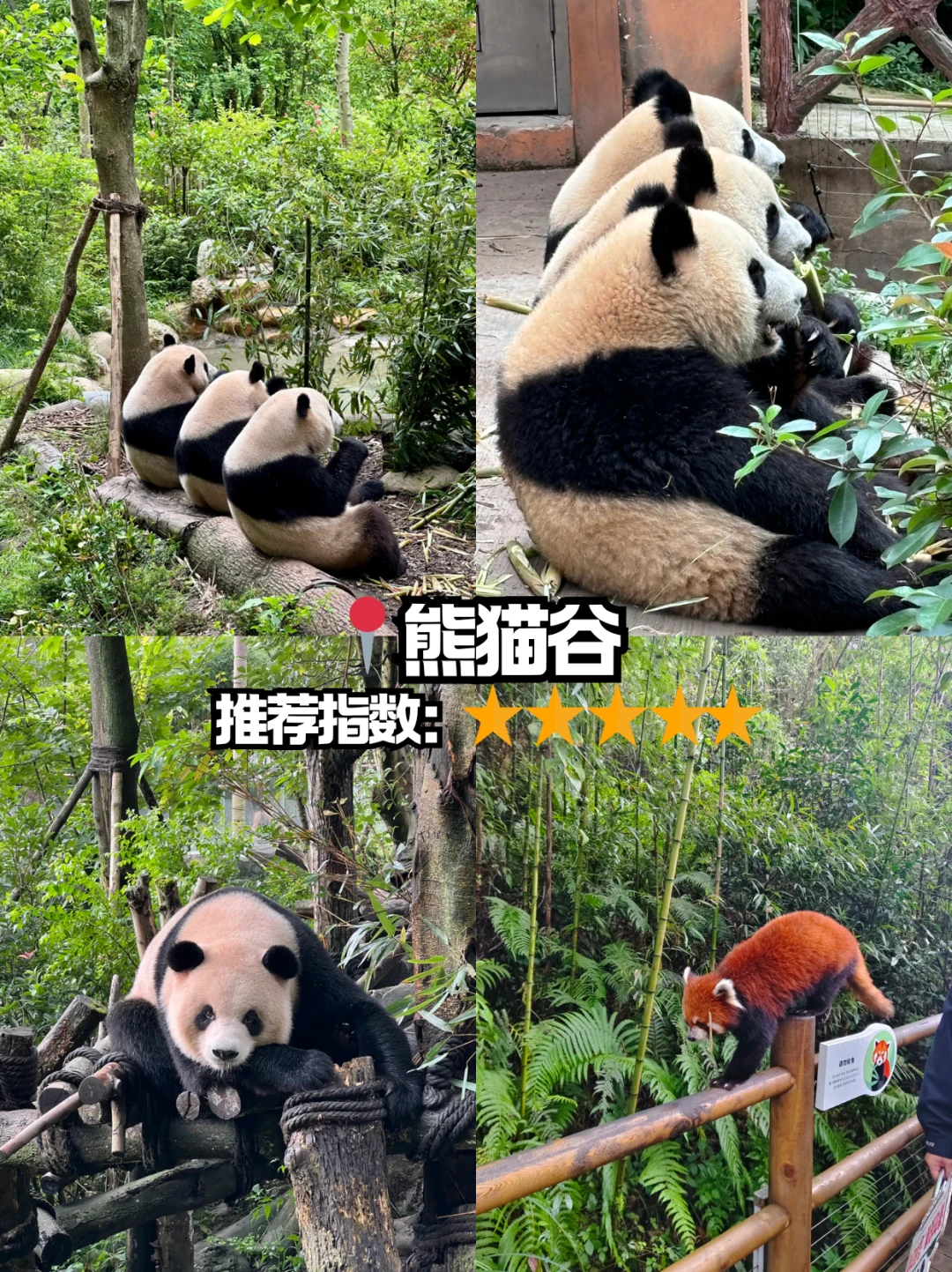 本地人眼中的成都景点排行榜，附出行攻略