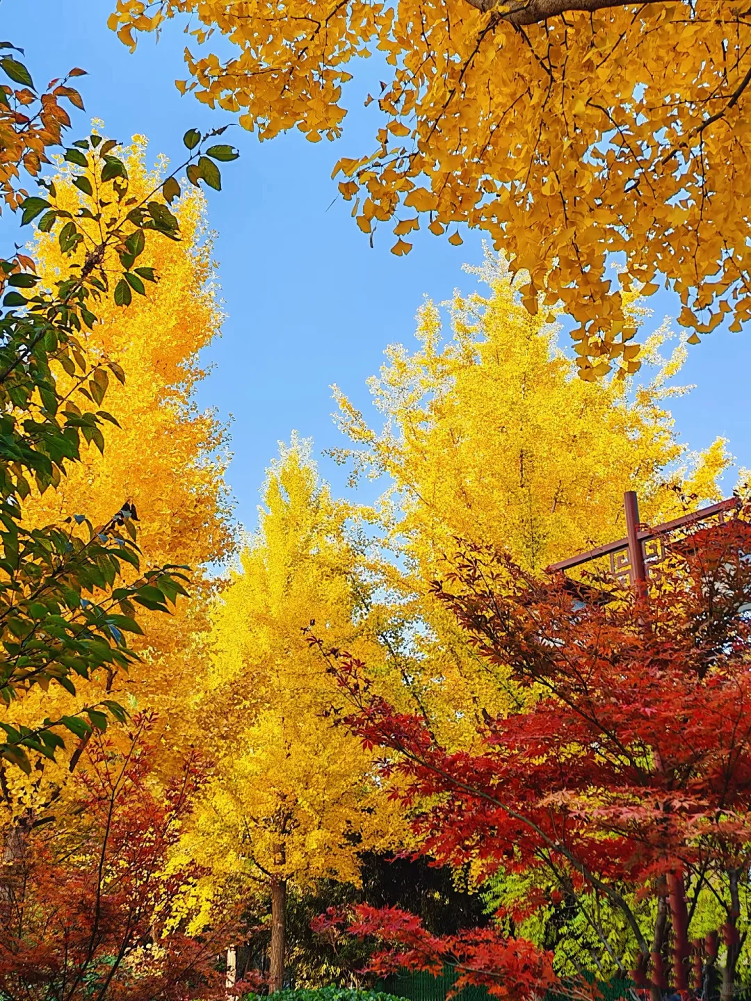 保定赏秋地图｜5个绝美打卡地