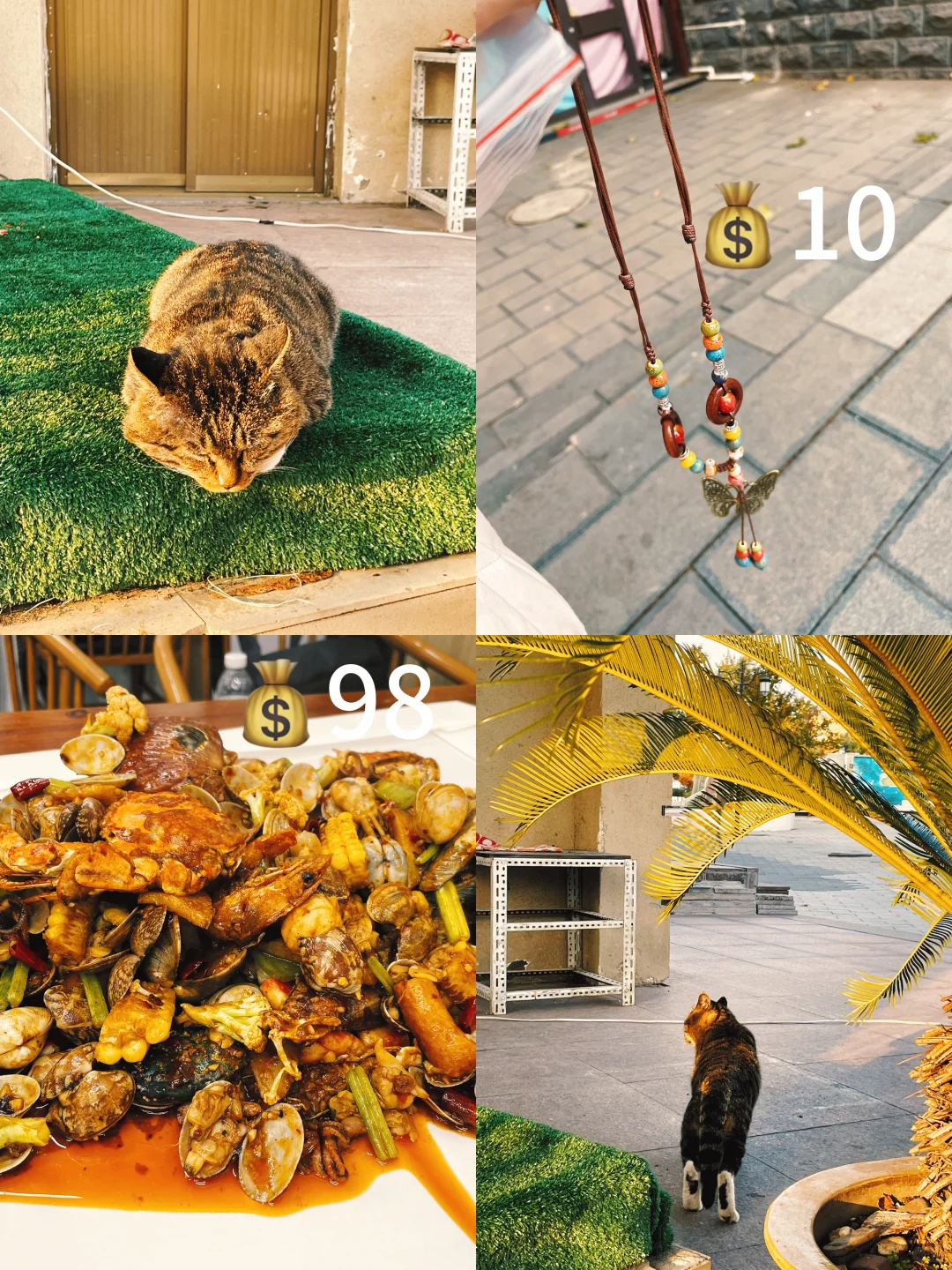 大学生淡季出游看海！！！