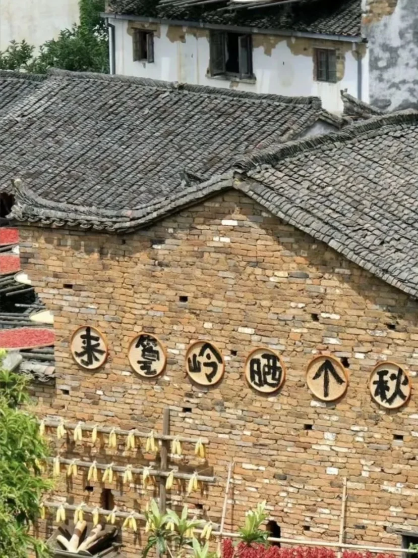 原地封神！婺源秋日双绝，晒秋叠红叶美到词穷