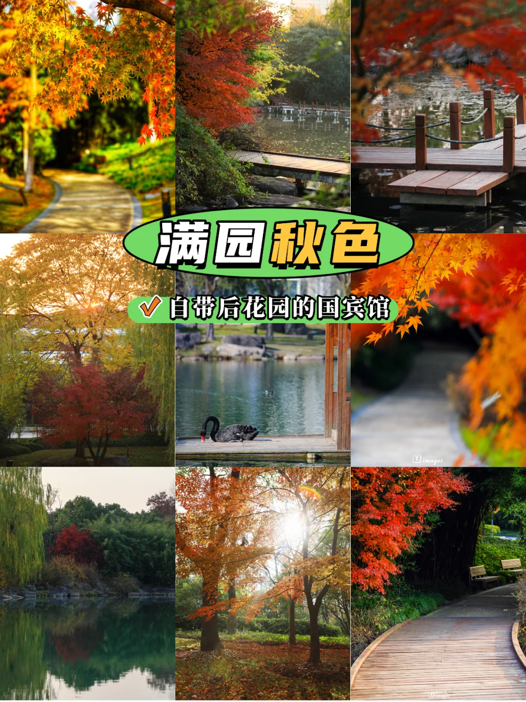 开卡丁车，吃西北菜…把金鸡湖玩成后花园