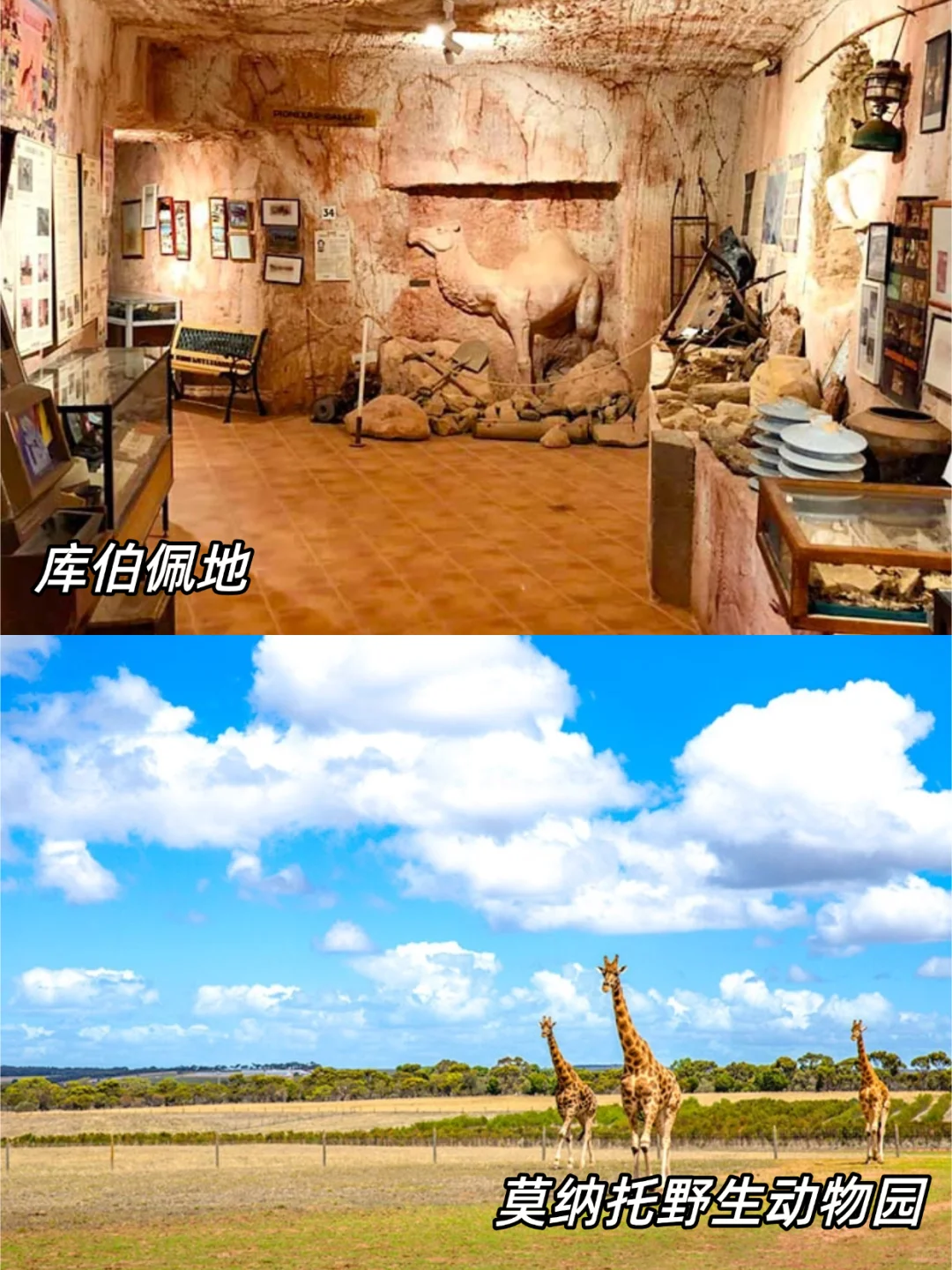 🇦🇺南澳攻略｜10大必玩景点实用攻略