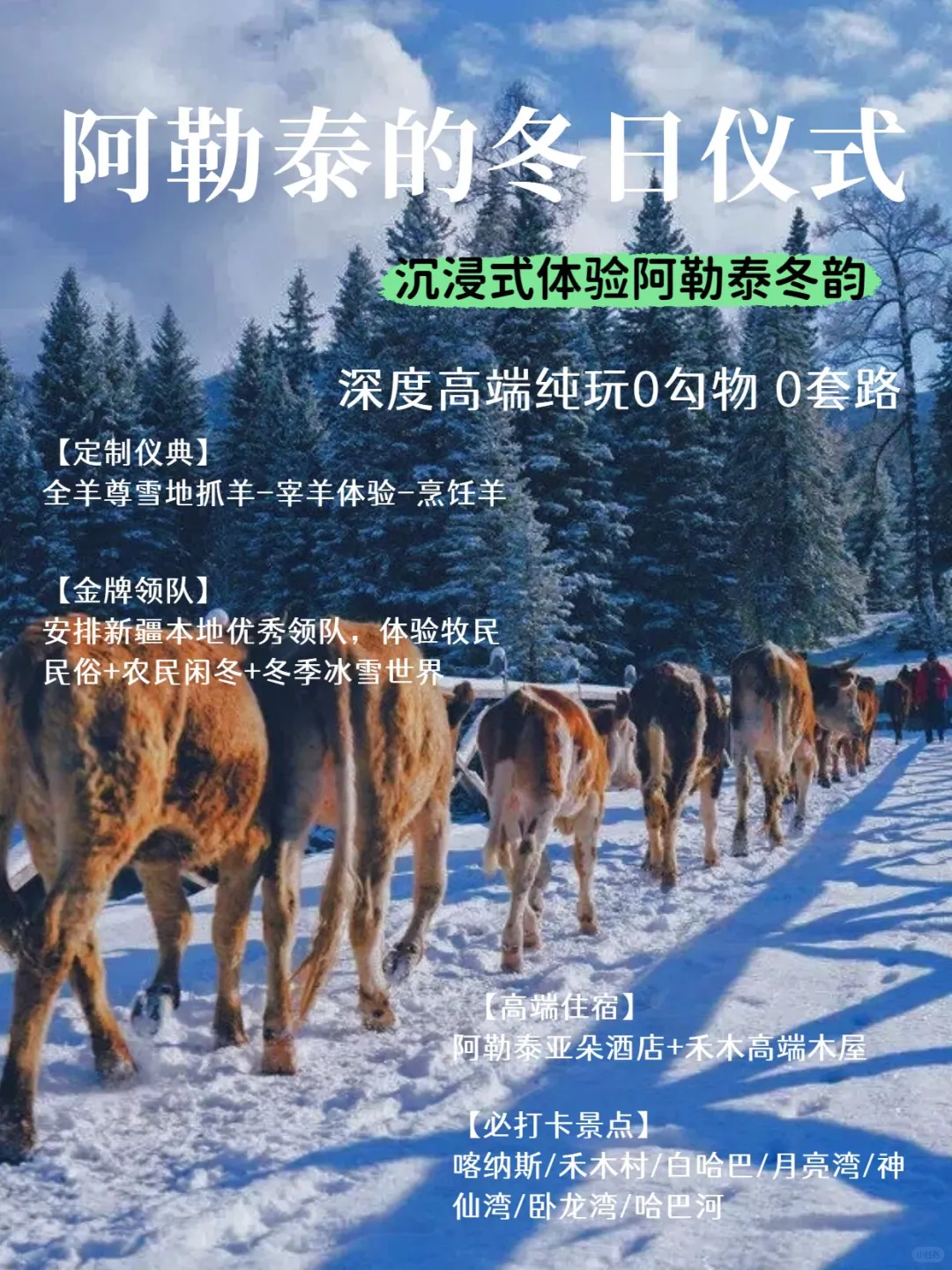 轻奢玩雪❄️ 阿勒泰7日品质小团5k+拿下