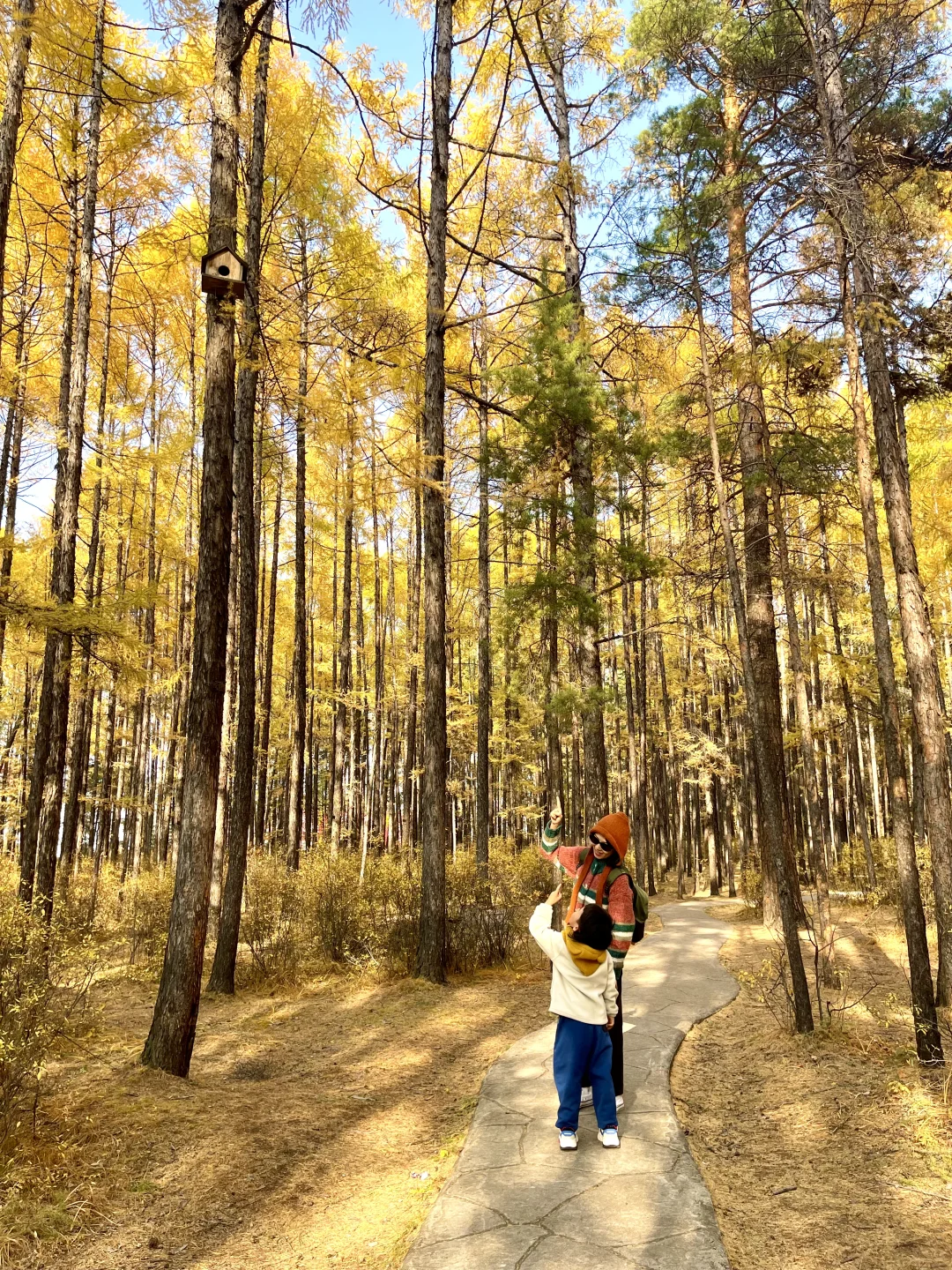 这里‼️ 所有的故事都围绕着“最北”展开