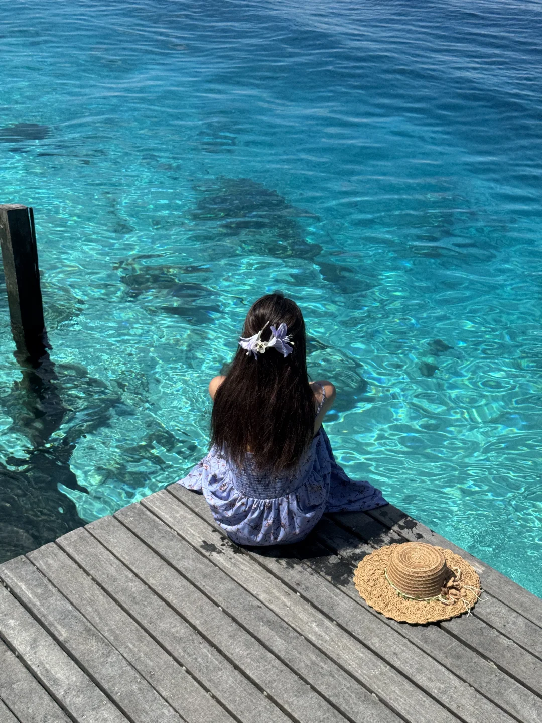 刚从亚庇、仙本那回来，真的劝退不了一点