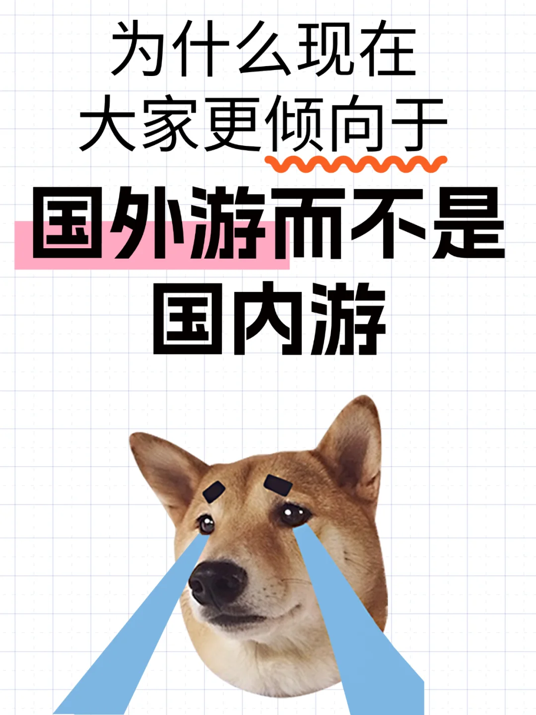 你更倾向于国外游而不是国内游？