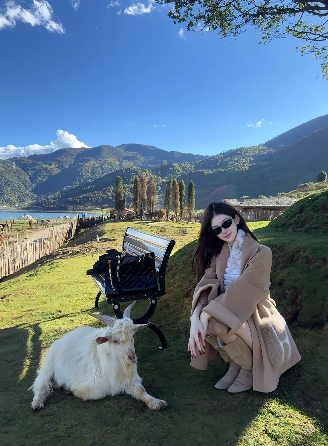 那里的冬天美得不像话🍂