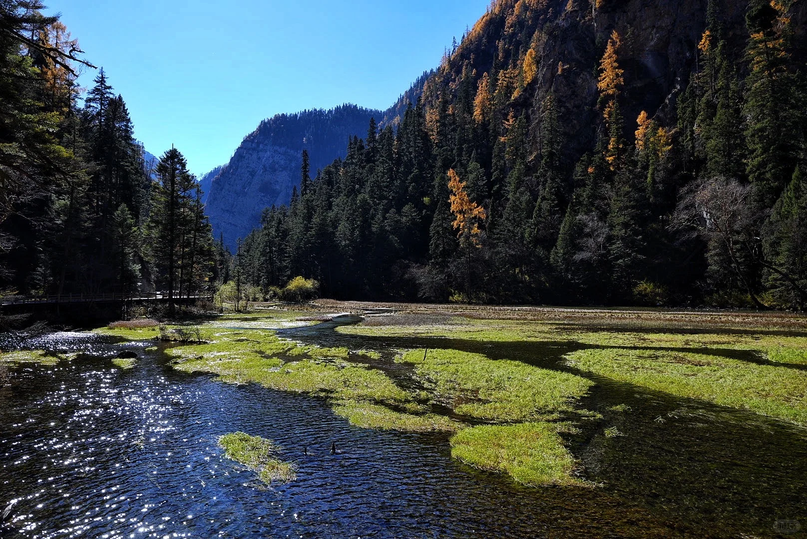 其实玩好九寨沟的精髓是松弛