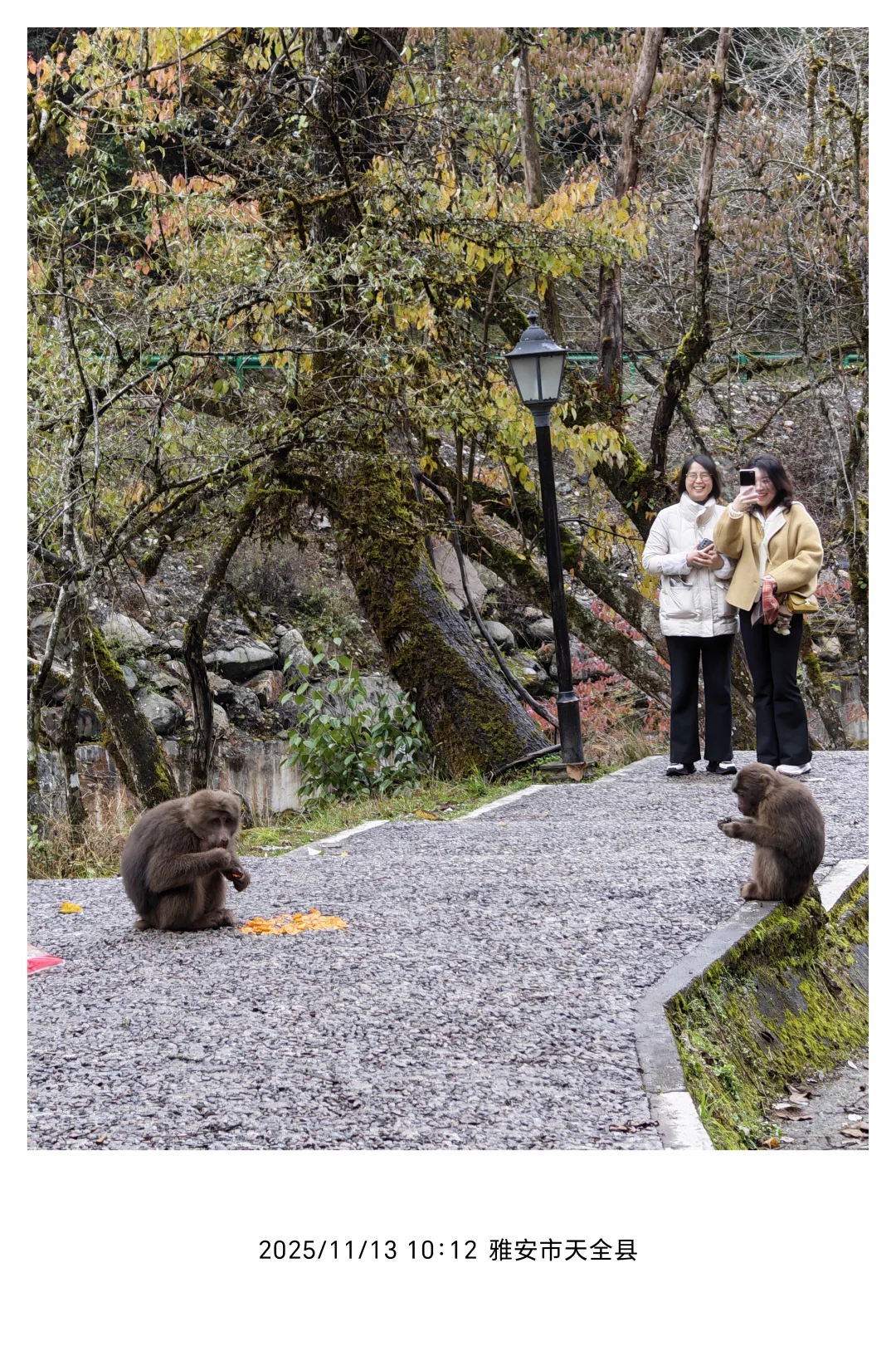 11.13喇叭河一日东西线超实用游玩攻略