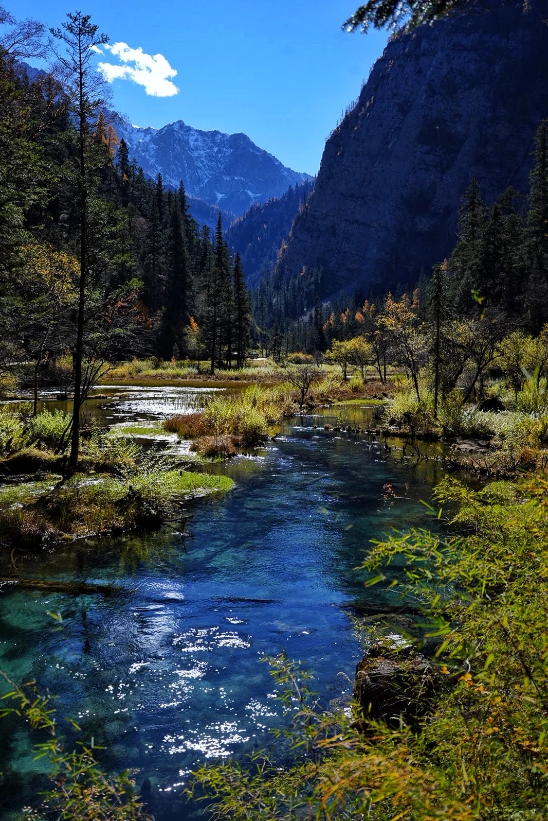 其实玩好九寨沟的精髓是松弛