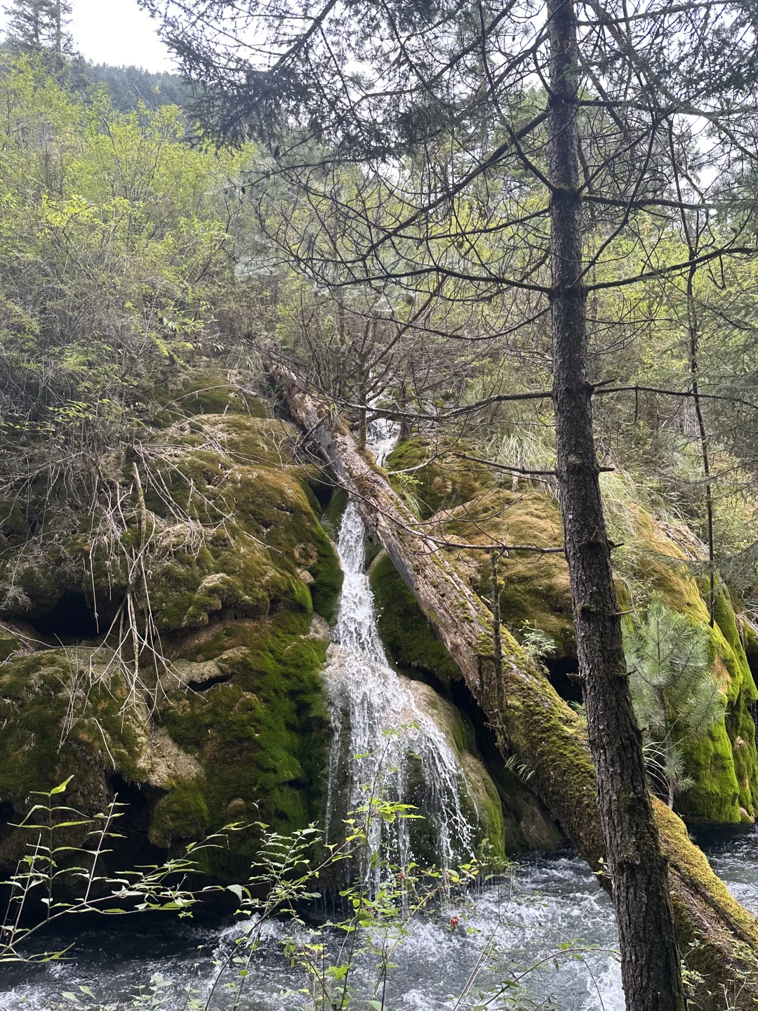 这个地方，你绝对不能错过！
