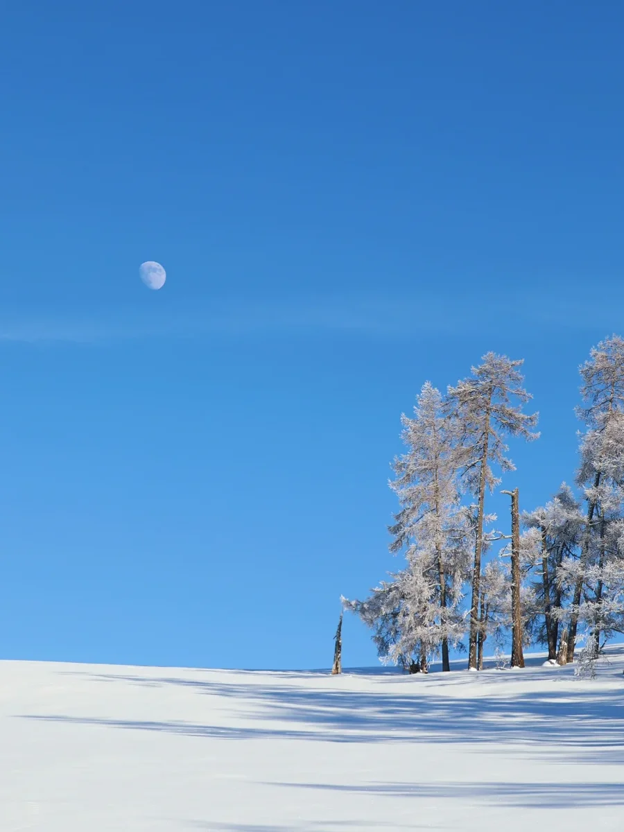 3k+超值 ❗ 最适合年轻人的阿勒泰小团
