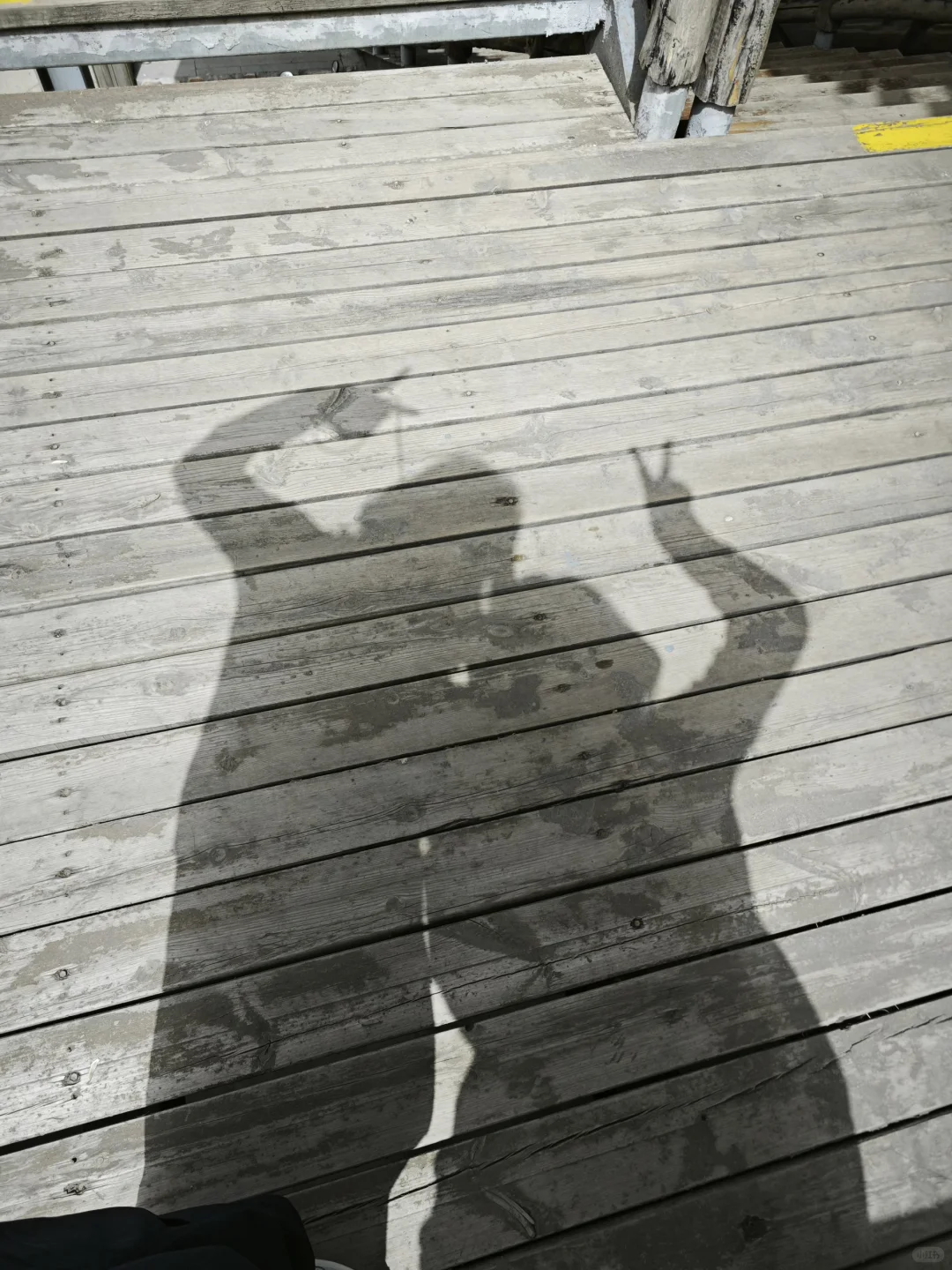 🌼石家庄漫山花溪谷 | 🌟🌟