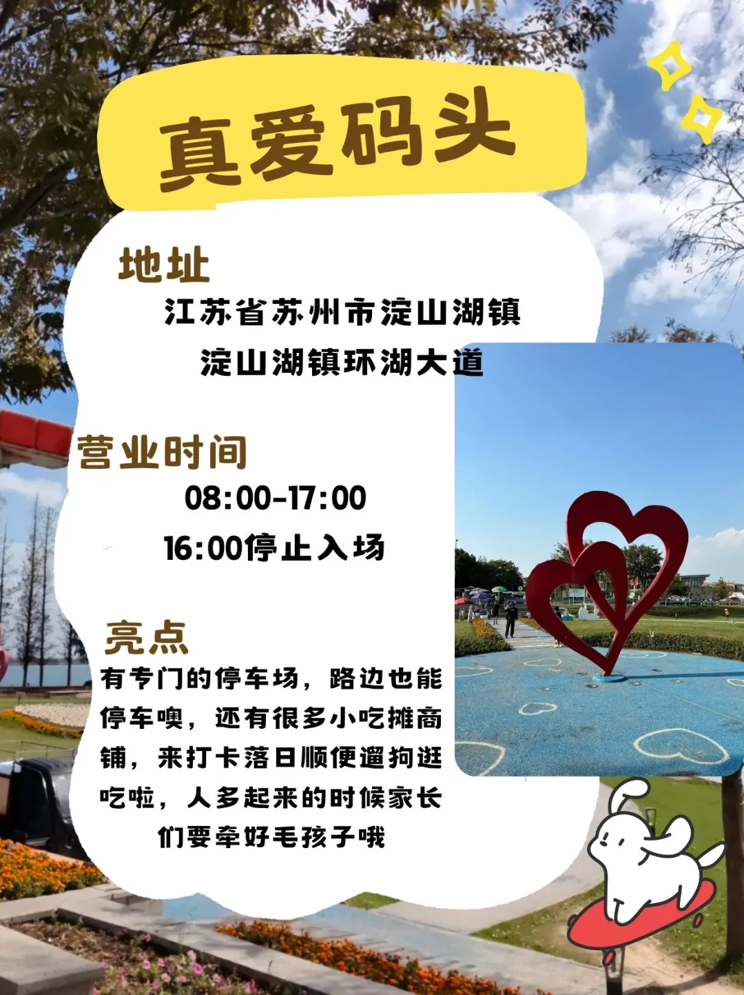 苏州宠物友好景区合集!11月带毛孩子去玩