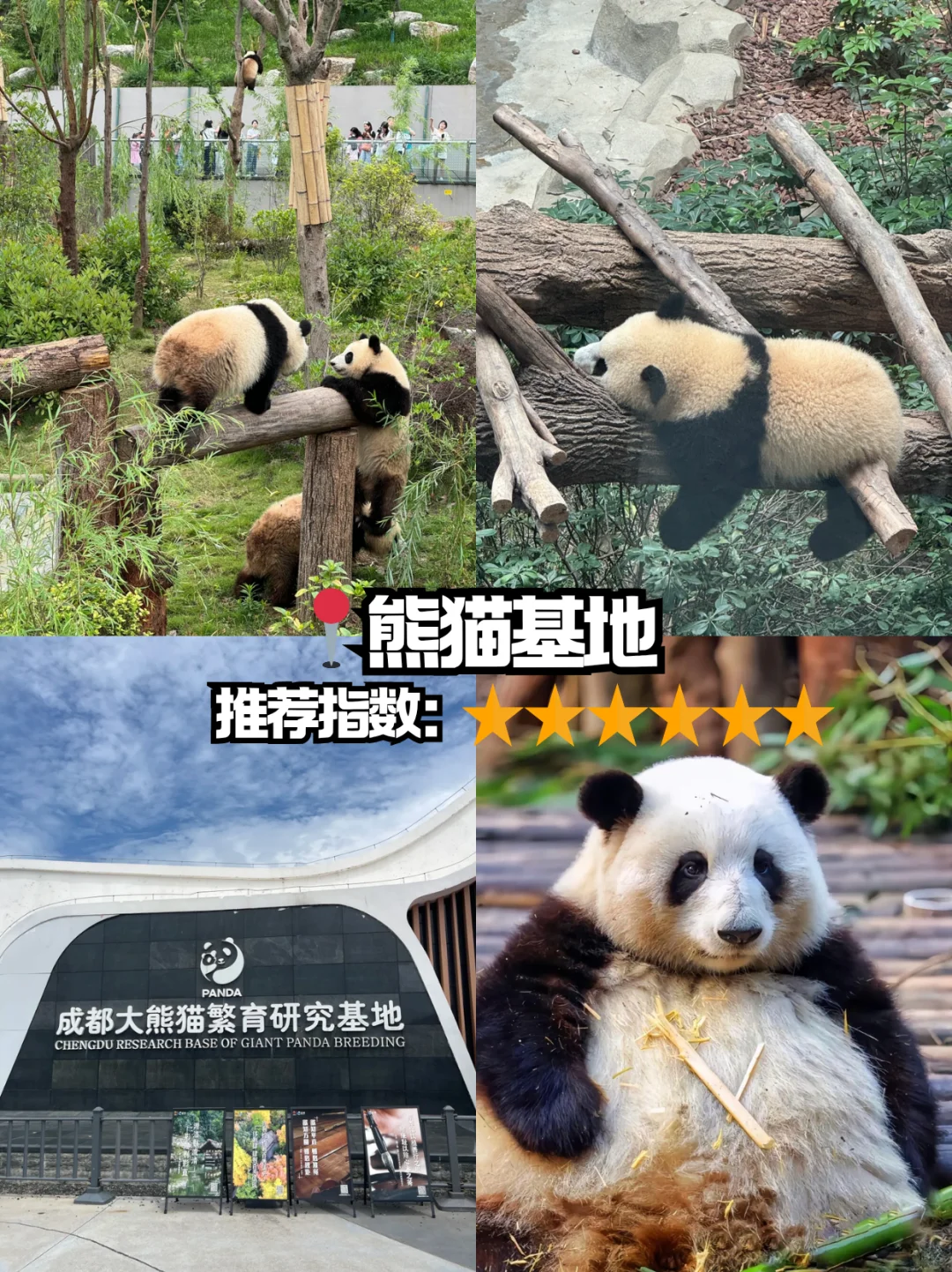 本地人眼中的成都景点排行榜，附出行攻略