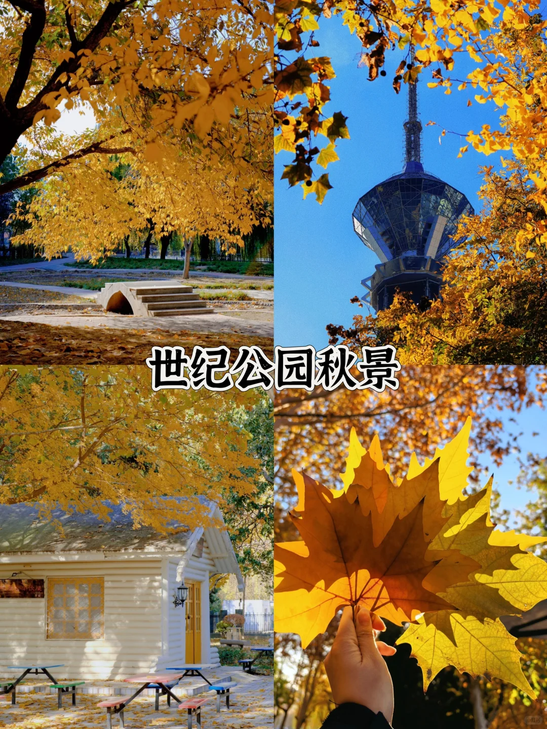 石家庄秋日逛吃一日游攻略！