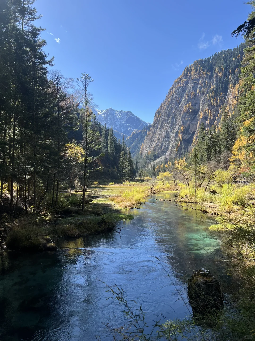 11.4九寨沟很美 但此生不会再去第二次🍂