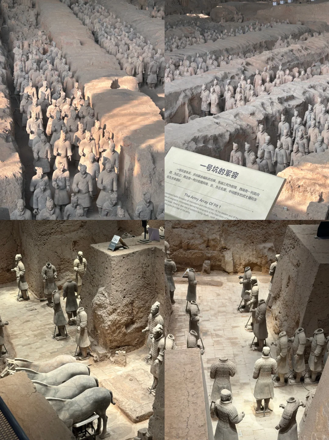 西安必打卡！兵马俑+丽山园一日游，159¥搞定