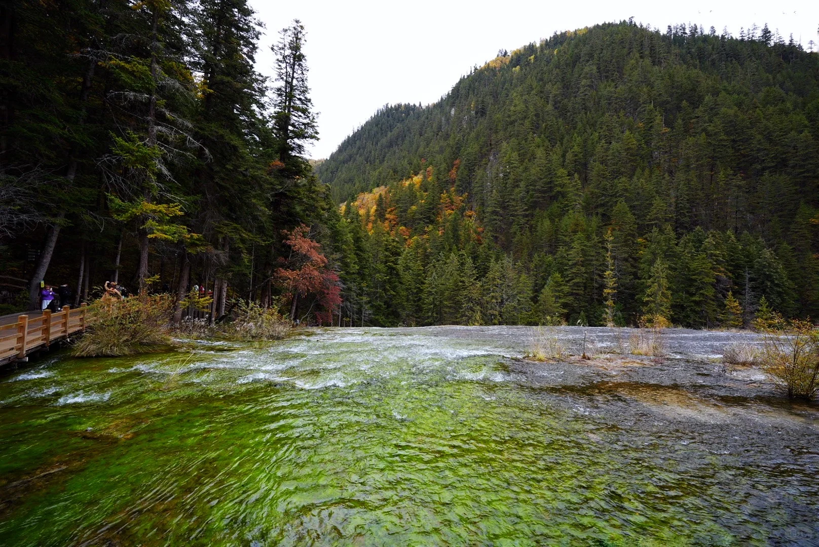 其实玩好九寨沟的精髓是松弛