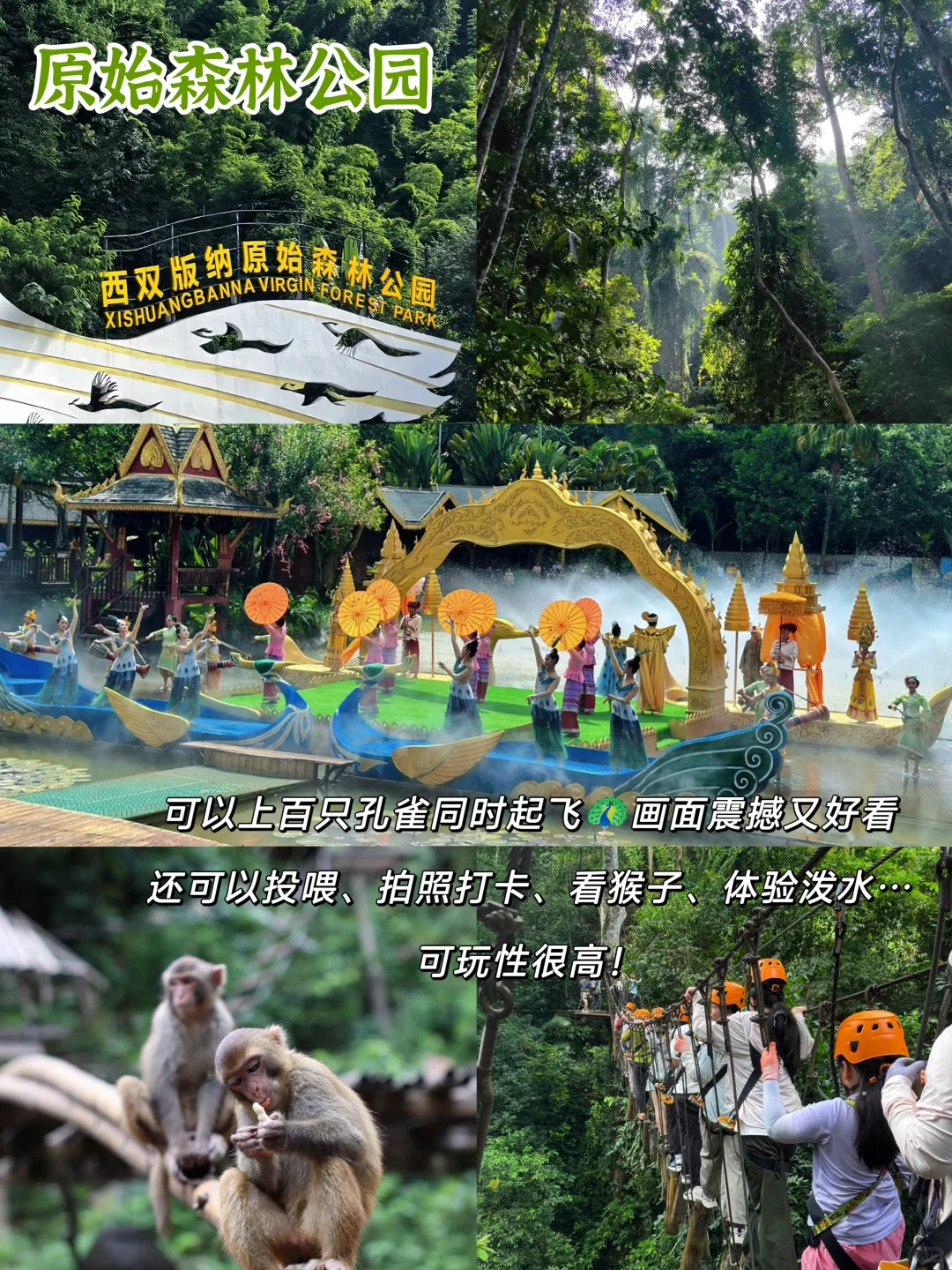 西双版纳景点!纯玩小团人均900+嗨玩5天✨