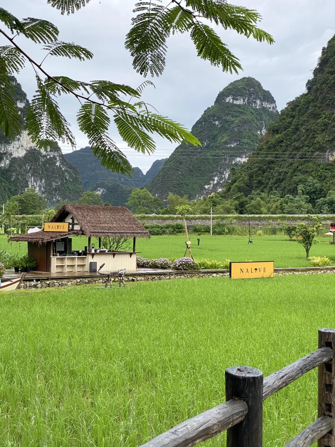 10-11月的崇左,真的和瑞士一样震撼!!! 真的