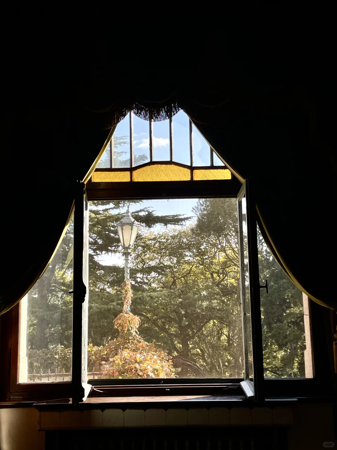 秋天的青岛 你简直美到犯规 带娃必冲