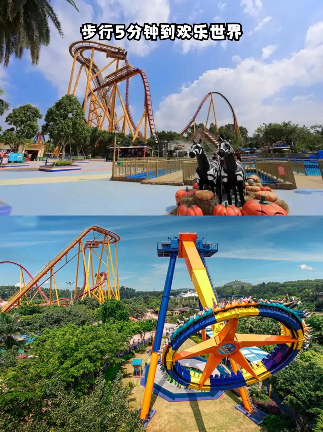 限时福利｜双人玩广州长隆三园，住熊猫酒店