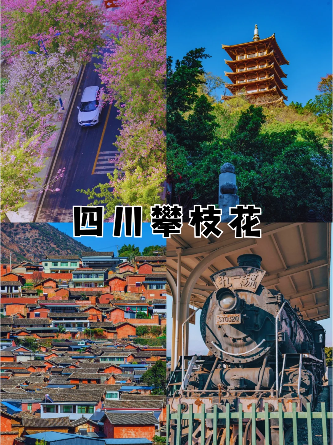 春节别再冻成狗 这十个温暖城市超适合旅游