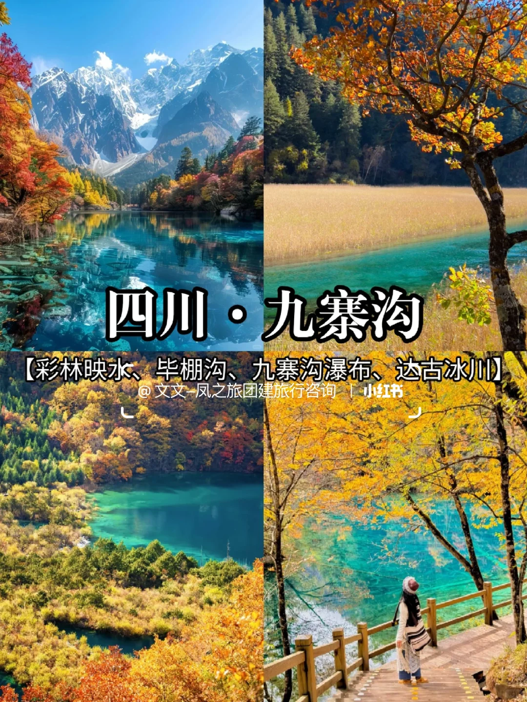 秋冬日限定版🍁10-12月国内赏秋地推荐