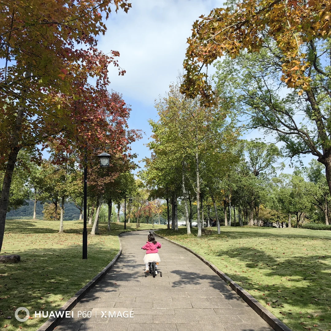 #湖南退休人深度玩杭州#撞进湘湖秋色里