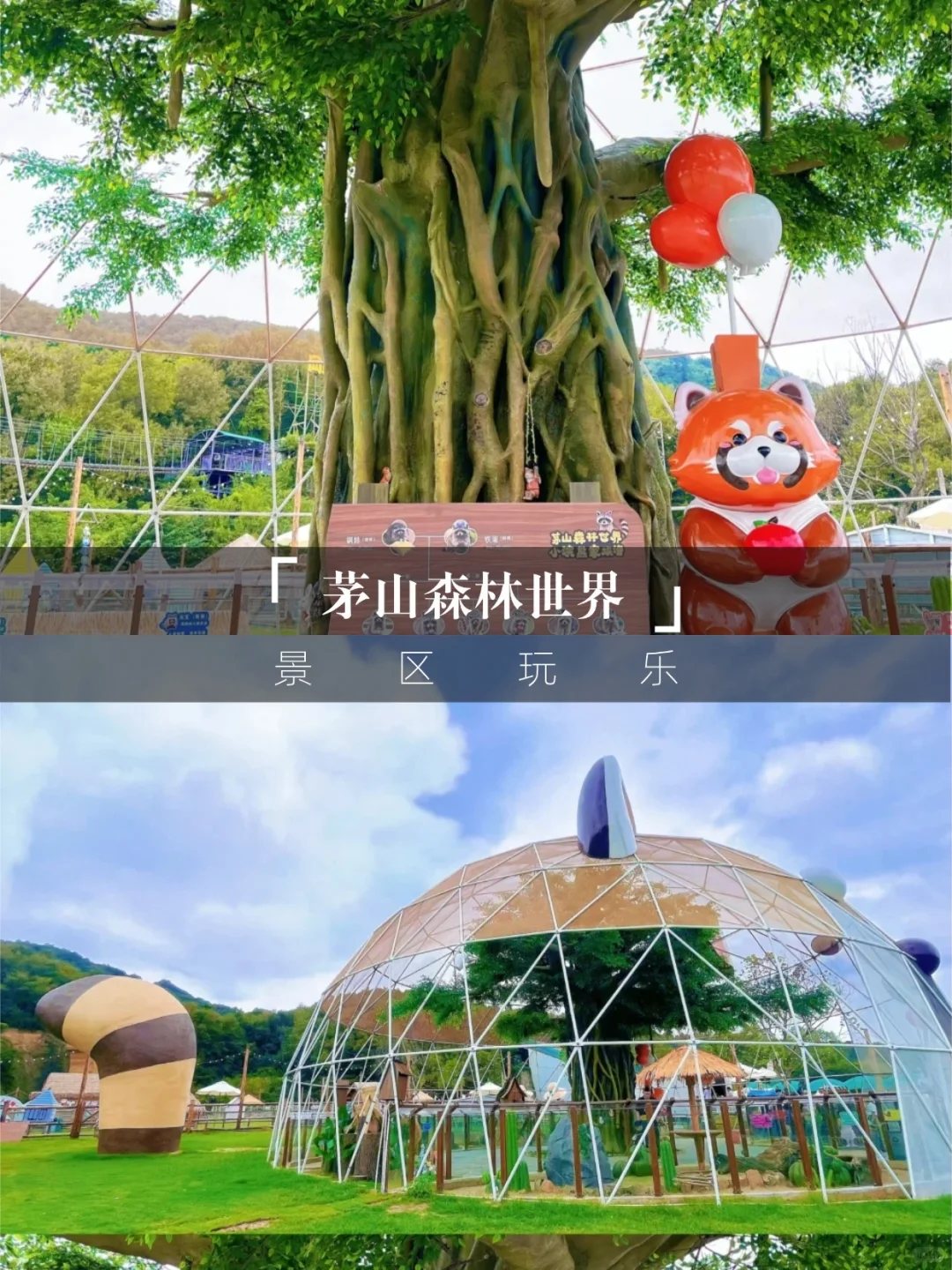 带娃闯进童话乐园🐼茅山森林世界跟风成功