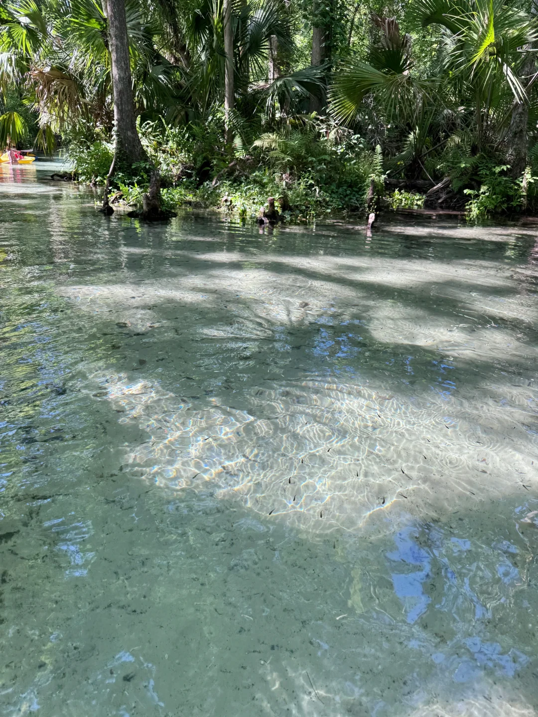 奥兰多千万别只去迪士尼环球！一定留时间给