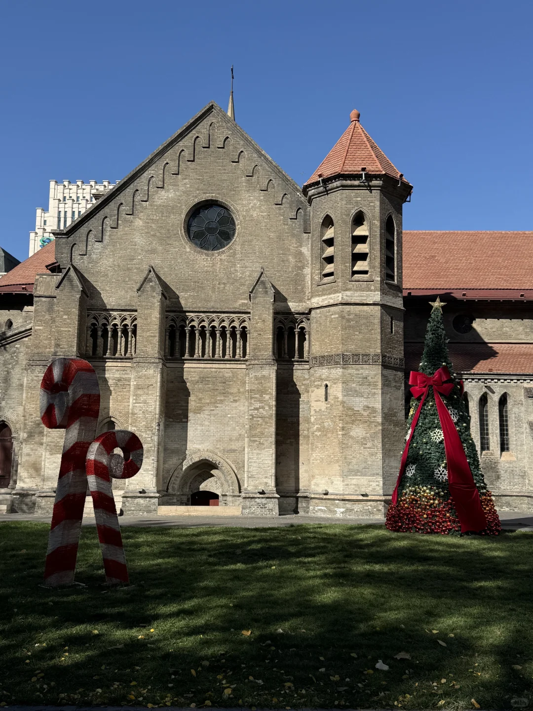 不在国外！！！真的在天津！！！