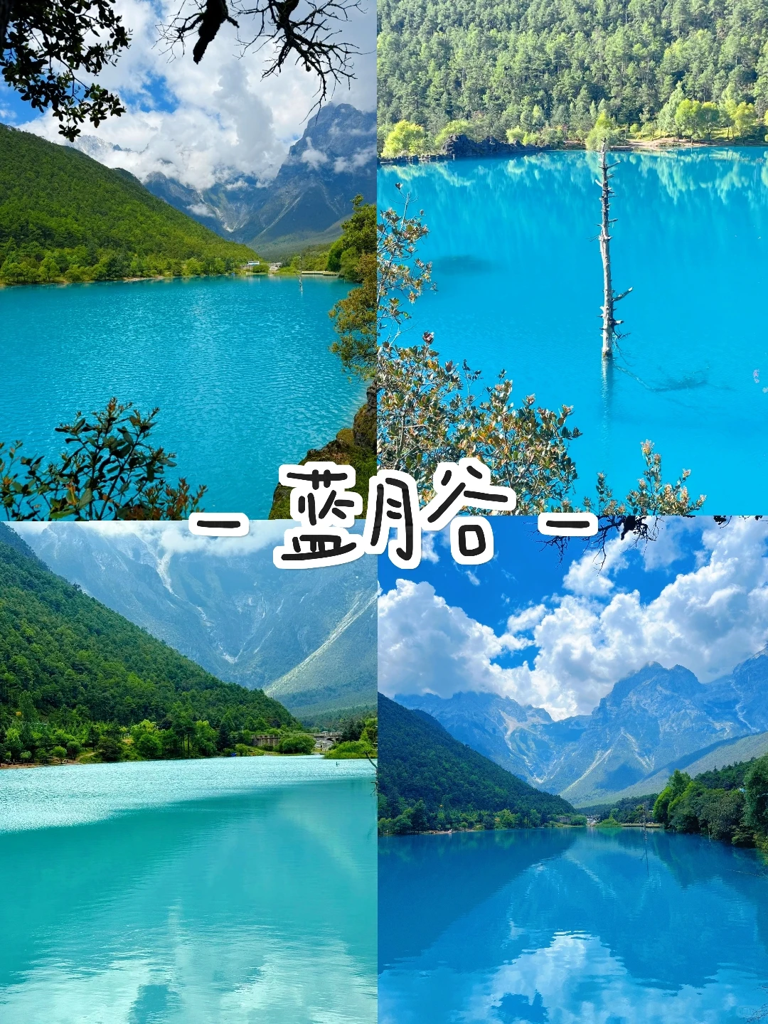 玉龙雪山纯玩一日游｜一价全含无套路🏔️