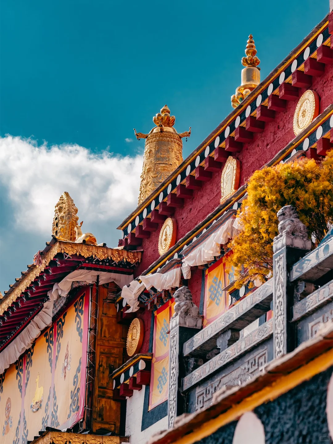 5.28📍云南旅游现状😭宝子后悔了✨听劝