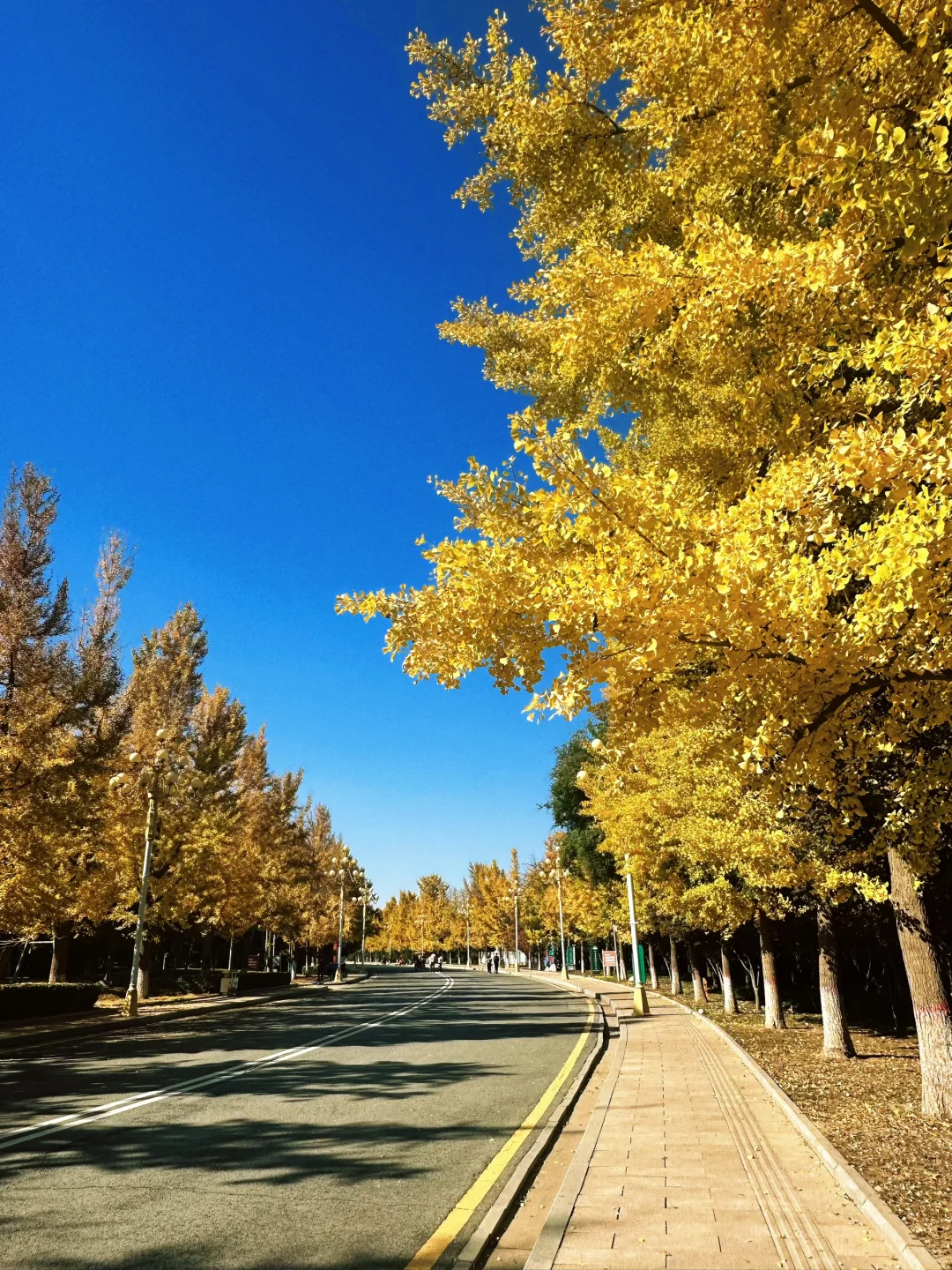 保定赏秋地图｜5个绝美打卡地