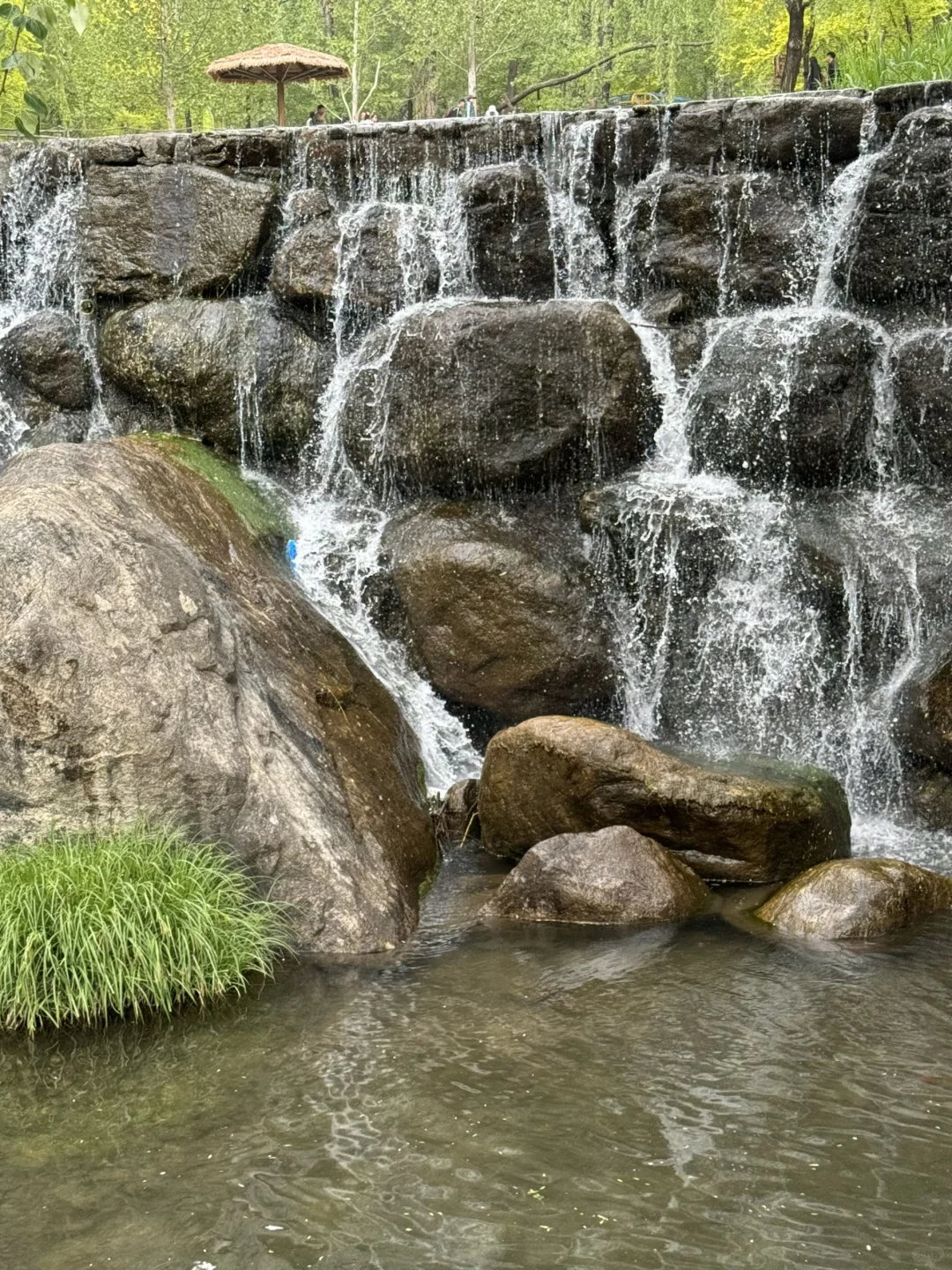 🌼石家庄漫山花溪谷 | 🌟🌟