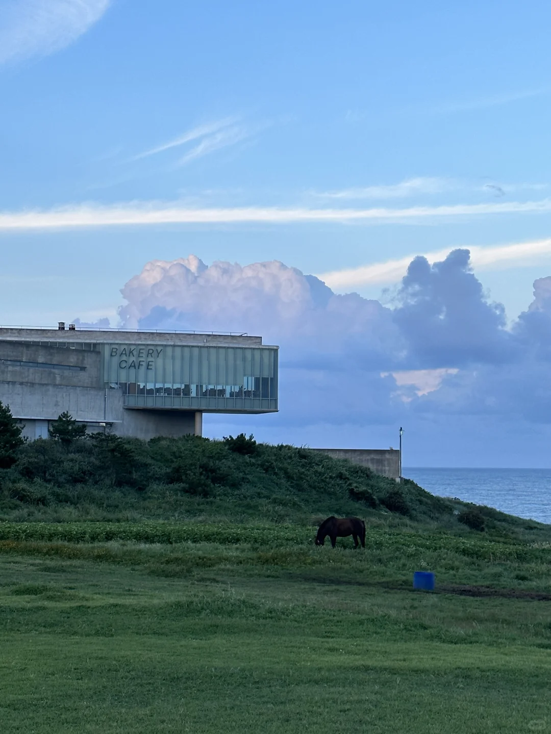 来济州岛，拍到了人生18张图🌅🌅🌅……
