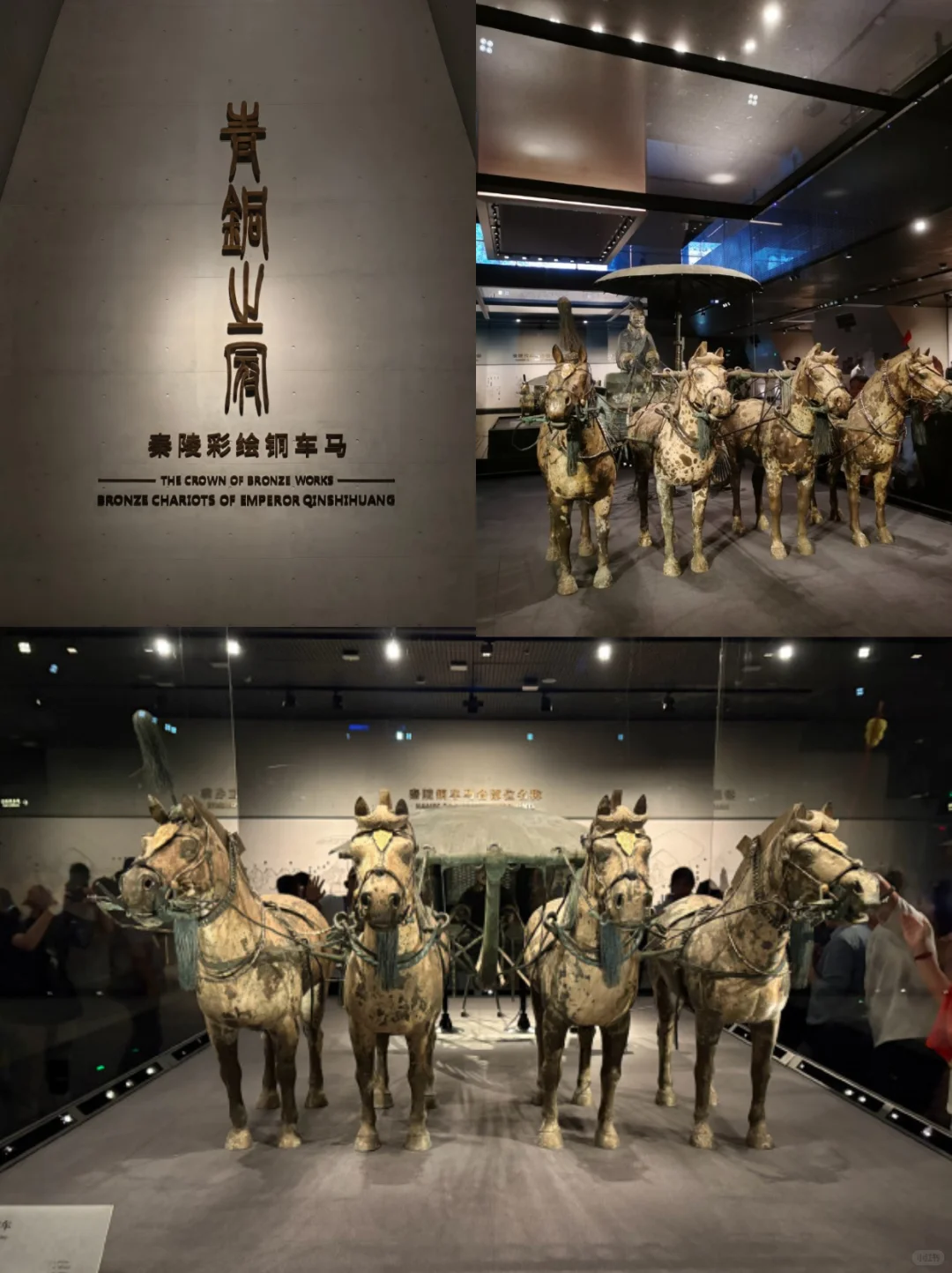 西安必打卡！兵马俑+丽山园一日游，159¥搞定