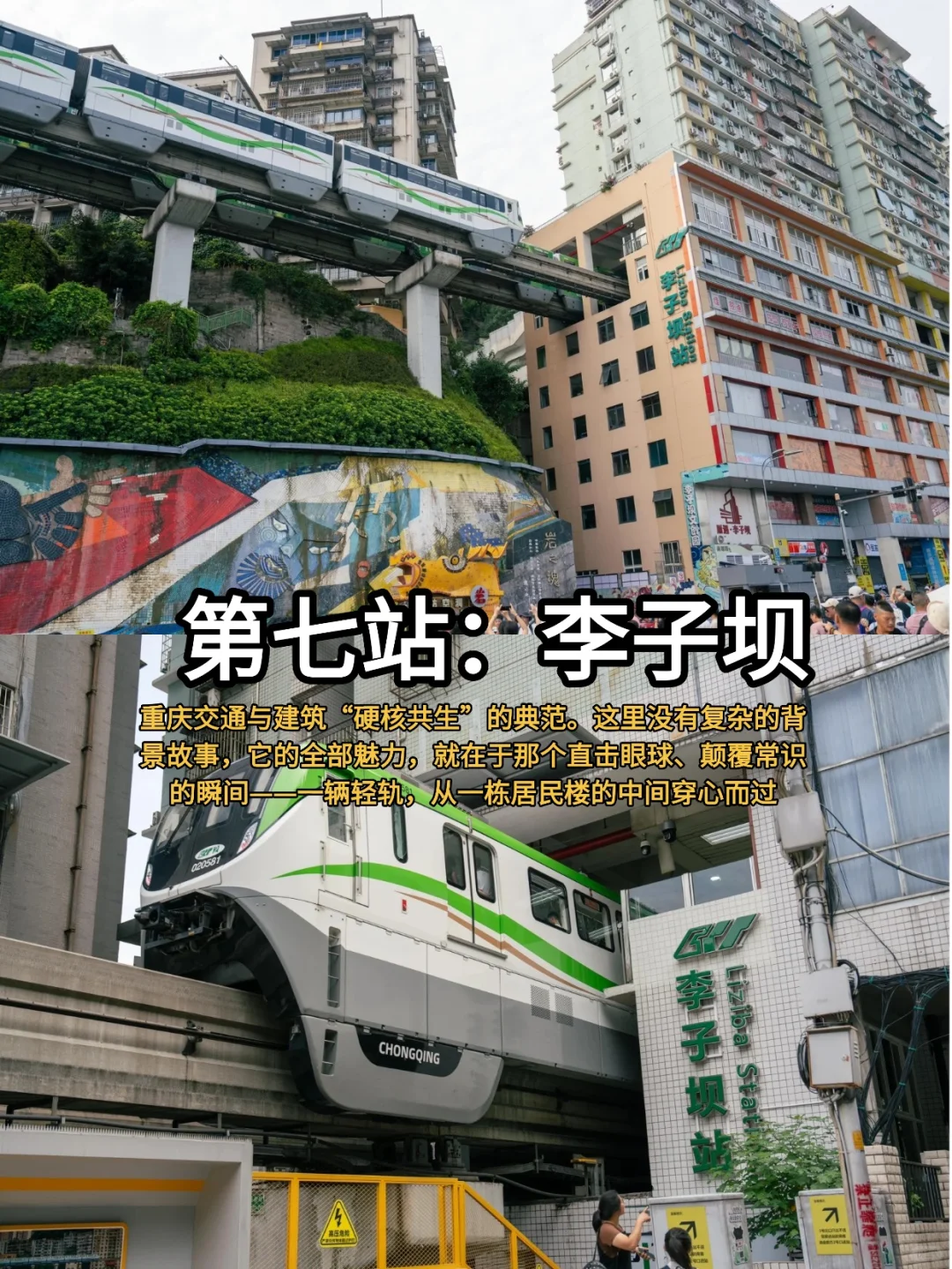 重庆冬季旅游🔥这10个景点不要错过