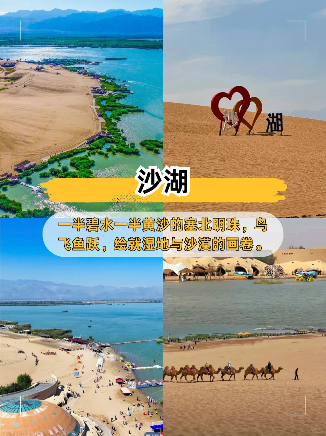 玩了5天只花1.5K🐪宁夏银川旅游宝藏地图