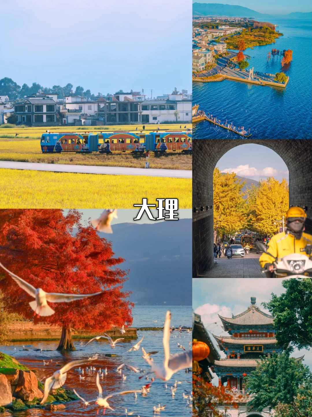 11月云南保姆级攻略🌾｜解锁秋冬神仙美景