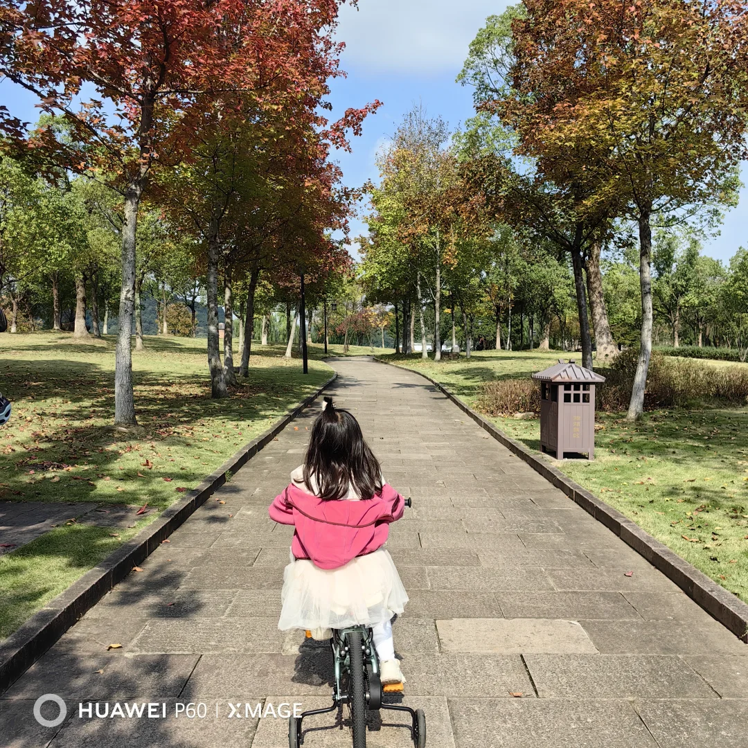 #湖南退休人深度玩杭州#撞进湘湖秋色里