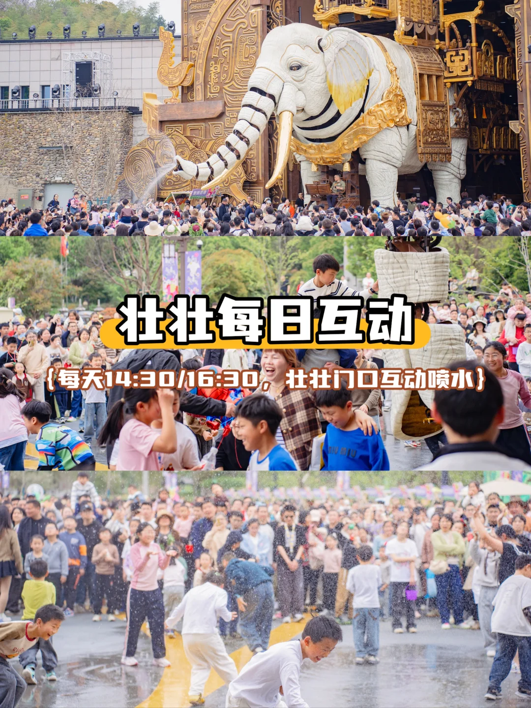 绍兴秋假遛娃这样玩❗看这一篇就够了！