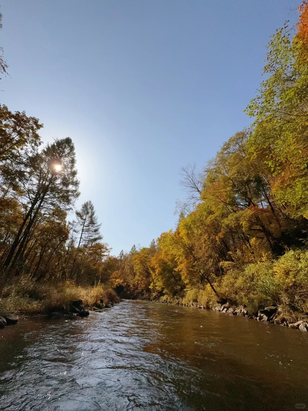 带娃勇闯东北之9️⃣长白山二道白河玩一天