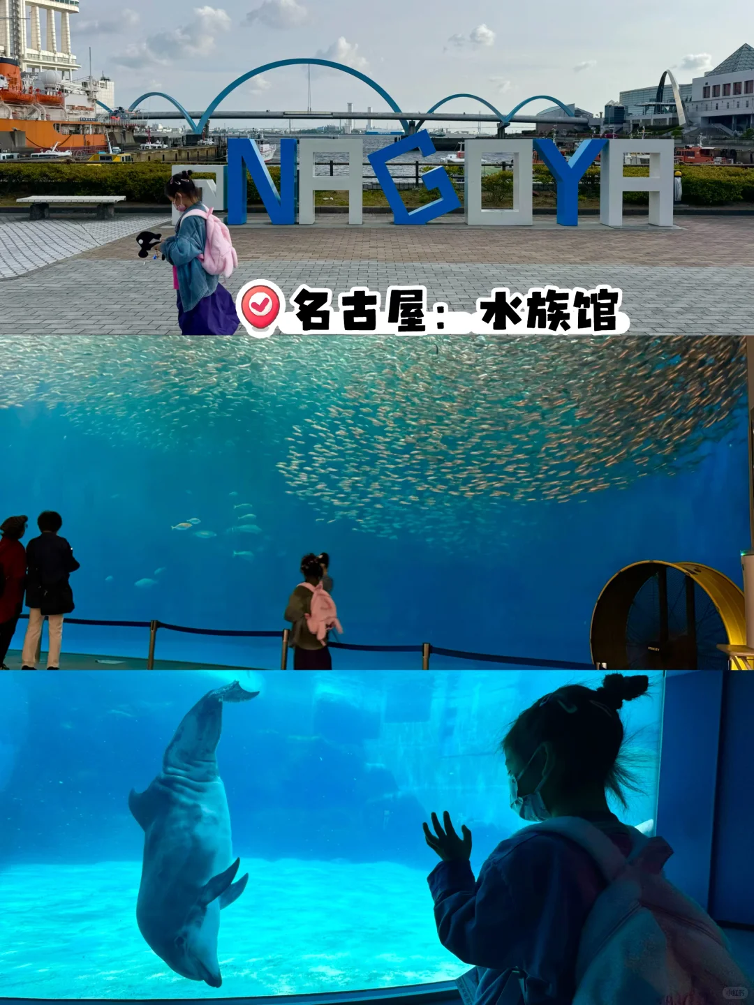 第一个秋假,带娃去哪儿玩?