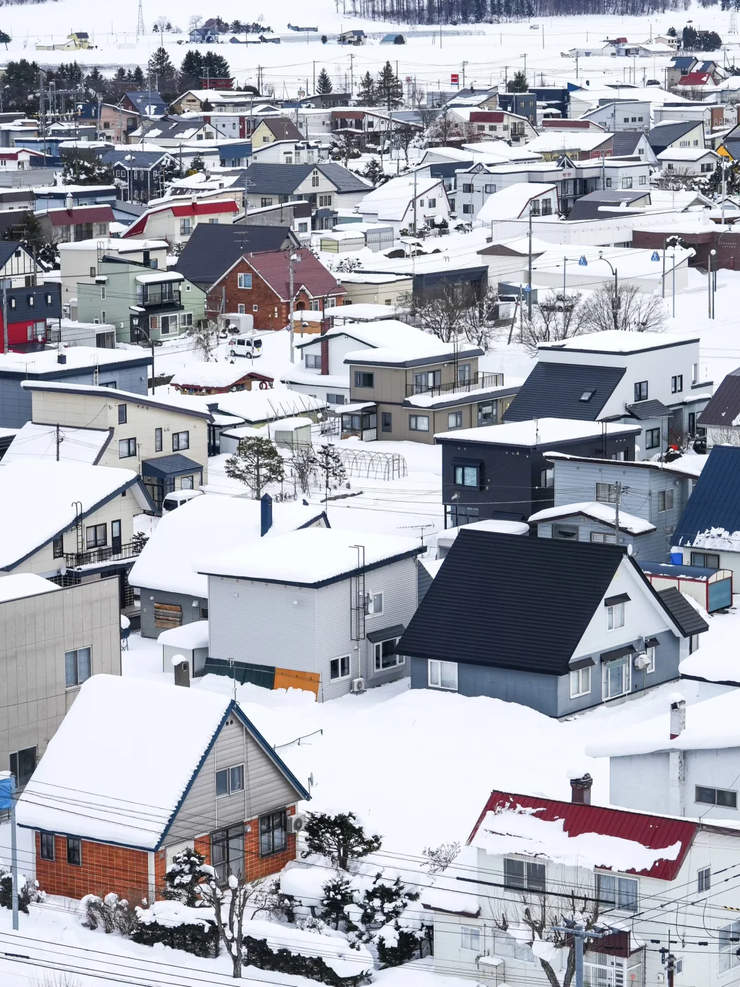 谁懂！！对自己的北海道攻略满意到睡不着！