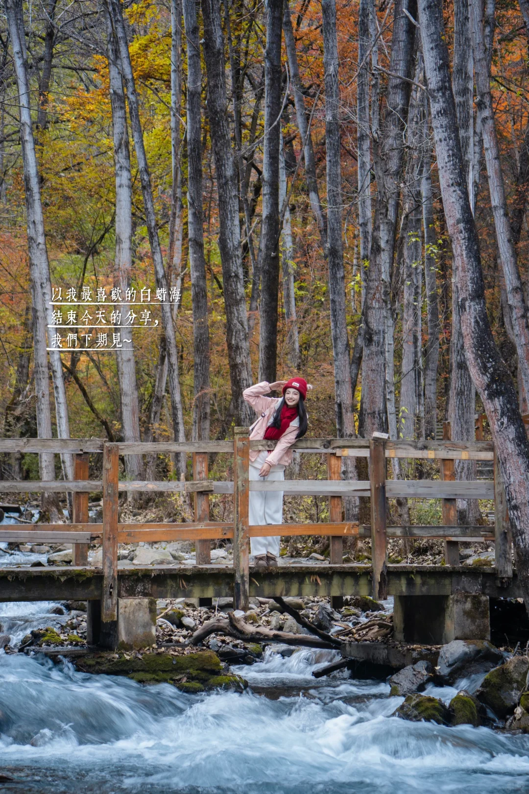 11月必冲❗️松坪沟彩林杀疯了🍂错过等一年