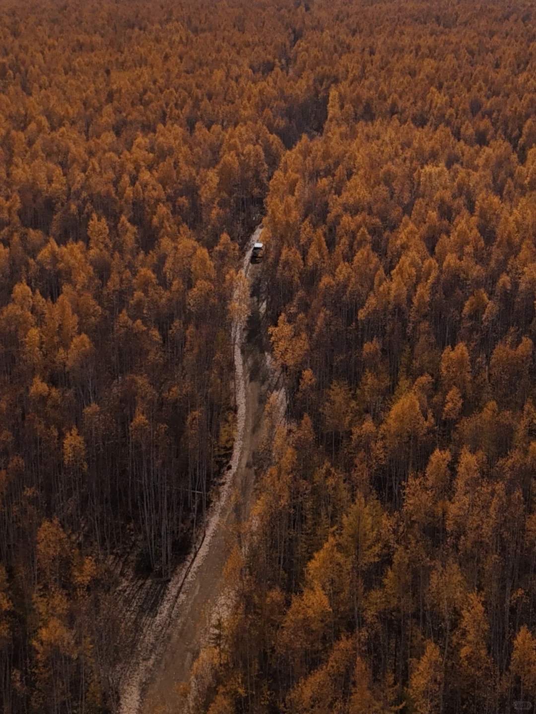 这里‼️ 所有的故事都围绕着“最北”展开