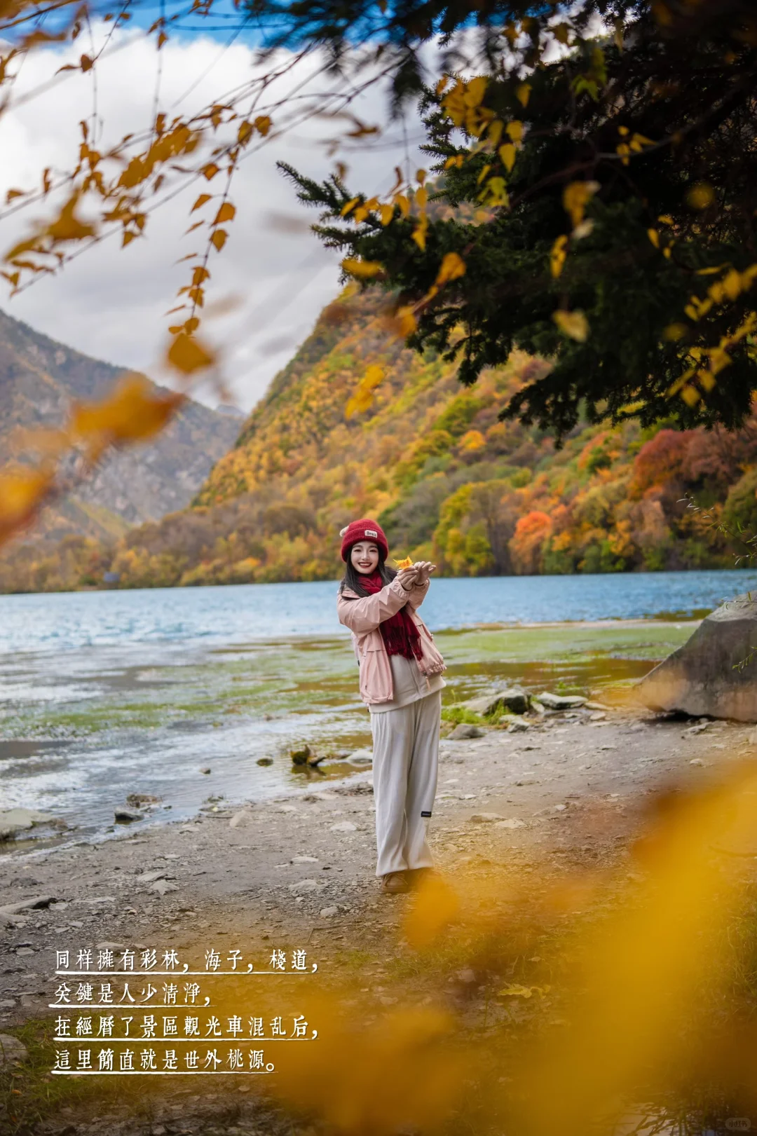 11月必冲❗️松坪沟彩林杀疯了🍂错过等一年